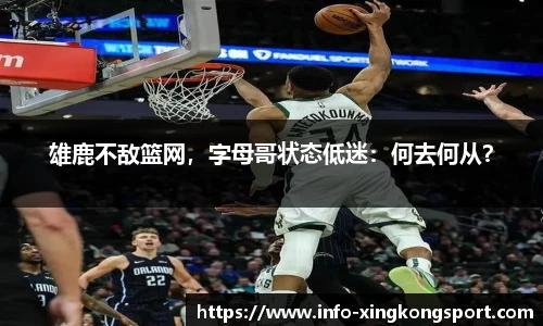星空体育在线官网
