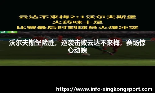 星空体育在线官网