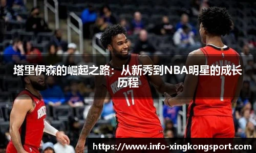 星空体育网站入口
