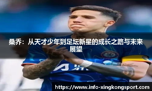 星空体育官网