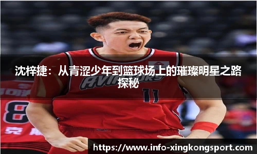 星空体育在线官网